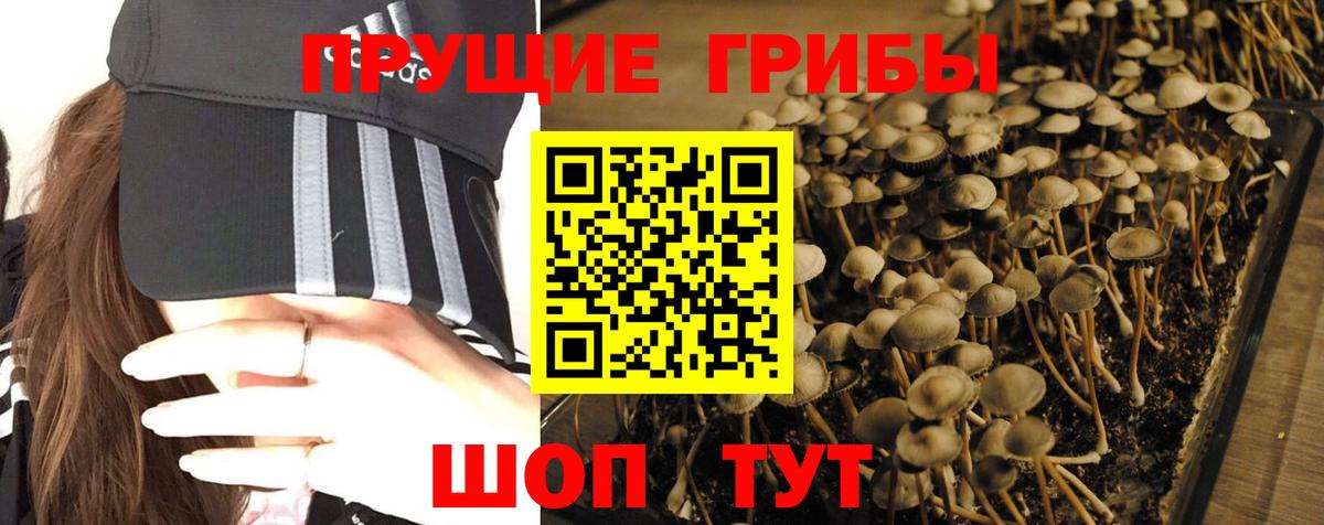 Псилоцибиновые грибы Magic Shrooms  наркотики  Балахна  Галлюциногенные грибы мицелий 