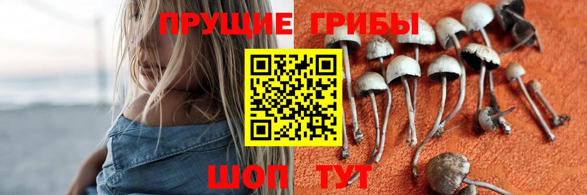 наркота  Псилоцибиновые грибы GOLDEN TEACHER  Вход с VPN  Балахна 